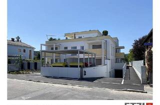WG-Zimmer mieten in Weinbergstraße 14, 3512 Mautern an der Donau, Erstbezug: WG-taugliche Wohnung in Mautern/Donau – jetzt kaufen statt mieten!