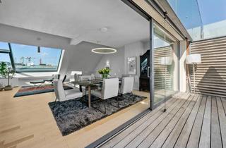 Maisonette kaufen in Zelinkagasse, 1010 Wien, Upper Level Highlight