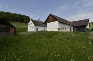 Gewerbeimmobilie kaufen in 8380 Jennersdorf, Geschlossene Landwirtschaft in Alleinlage mit 5,8 ha und zwei Dreikanthöfen – eine seltene Gelegenheit!