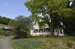 Gewerbeimmobilie kaufen in 8380 Jennersdorf, Geschlossene Landwirtschaft in Alleinlage mit 5,8 ha und zwei Dreikanthöfen – eine seltene Gelegenheit!