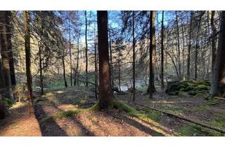Grundstück zu kaufen in 3851 Kautzen, Ein verstecktes Juwel im Waldviertel - Wald, Wasser und absolute Ruhe