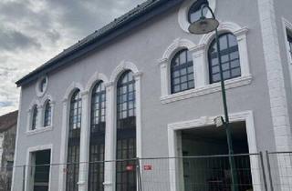 Villen zu kaufen in 3471 Großriedenthal, LUXUSVILLA ERSTBEZUG Großriedenthal bei Tulln/ Belagsfertig