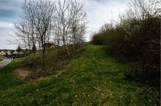 Grundstück zu kaufen in 8081 Heiligenkreuz am Waasen, Ruhiges Baugrundstück für Ein- oder Zweifamilienhaus inkl. Waldparzelle
