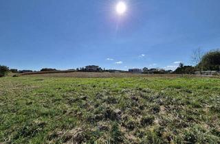 Grundstück zu kaufen in 8350 Fehring, 2 wunderschöne Baugründe in erhöhter Sonnenlage in Fehring - Nähe Feldbach!