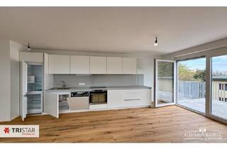 Wohnung mieten in Aspernstraße, 1220 Wien, NEU! ++ KLINIKUM DONAUSTADT / CAMPUS DONAUSTADT ++ERSTBEZUG! ++ 2 NEUBAUWOHNUNGEN MIT BALKON NAHE U2 ASPERNSTRASSE ++ NEUE KÜCHE & KLIMAANLAGE ++ 1220 WIEN