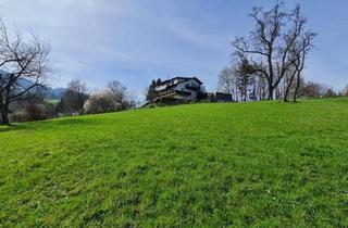 Grundstück zu kaufen in 4565 Inzersdorf im Kremstal, Eckgrundstück mit Privatsphäre im grünen sowie optimaler Anbindung!