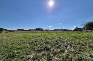 Grundstück zu kaufen in 8350 Fehring, 2 wunderschöne Baugründe in erhöhter Sonnenlage in Fehring - Nähe Feldbach!