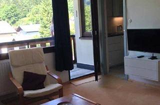 Wohnung mieten in Mühlbachweg 194, 4831 Obertraun, Möblierte Wohnung bei Hallstatt
