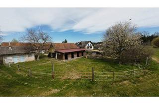 Gewerbeimmobilie mieten in 8423 Sankt Veit am Vogau, Reitstall in Rabenhof – 6 Boxen, Reitviereck, Clubhaus, Weiden & mehr in der Südsteiermark