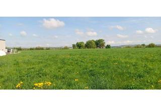 Grundstück zu kaufen in Am Anger, 3353 Seitenstetten, Sonniger Baugrund in bester Lage und schönem Ausblick