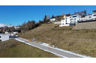 Grundstück zu kaufen in 4204 Affenberg, Baugrund für Einfamilien- oder Doppelhaus