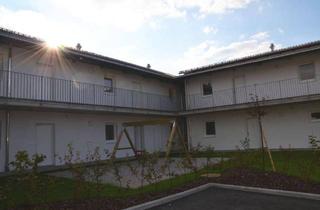 Wohnung mieten in Marktstraße, 3202 Hofstetten, Hofstetten - schöne 2 Zimmerwohnung mit herrlicher Terrasse und Garten