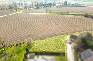 Grundstück zu kaufen in 4070 Eferding, Sonniges Baugrundstück mit Feldblick | Taubenbrunn | ohne Bauzwang | Eferding Zentrum zu Fuß erreichbar