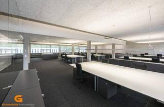 Büro zu mieten in 5081 Anif, Business im Loftstyle – Büro mieten in Salzburg Süd