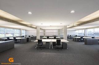 Büro zu mieten in 5081 Anif, Business im Loftstyle – Büro mieten in Salzburg Süd