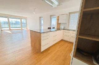 Penthouse mieten in Freistädter Straße, 4040 Linz, Premium-Penthouse in Linz-Urfahr zu vermieten! Große Außenterrasse – Wintergarten - Moderne Einbauküche mit vielen Extras