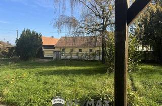 Grundstück zu kaufen in 3434 Katzelsdorf, "Wunderschönes Grundstück in Katzelsdorf"