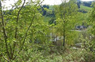  in 4242 Hirschbach im Mühlkreis, Naturnahes Paradies, Baugrundstück, Hirschbach im Mühlkreis, Parkplatz, Pacht/ Miete