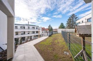 Wohnung mieten in 2120 Wolkersdorf im Weinviertel, Top 6A | Helle Mietwohnung in Weingegend – 50 m²