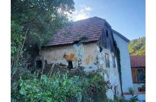 Grundstück zu kaufen in 3500 Krems an der Donau, Märchenhaft großes Grundstück in Handlage mit grandiosen Ausblick auf die Burgruine Rehberg in 3500 Krems an der Donau