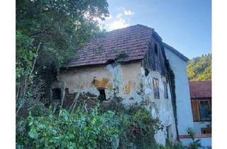 Grundstück zu kaufen in 3500 Krems an der Donau, Märchenhaft großes Grundstück in Handlage mit grandiosen Ausblick auf die Burgruine Rehberg in 3500 Krems an der Donau