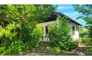 Haus kaufen in 2723 Muthmannsdorf, 2723 Muthmannsdorf - Bungalow in idyllische Grünruhelage