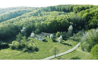 Bauernhäuser mieten in Güssing, 7540 Güssing, Revitalisiertes Bauernhaus in idyllischer Alleinlage