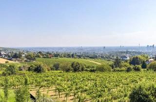 Villen zu kaufen in Bellevuestraße, 1190 Wien, VILLA BELLE VUE - Spektakulärer Ausblick über Wien