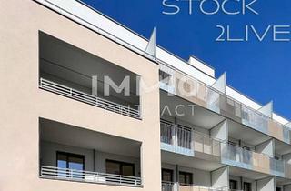 Wohnung kaufen in 2000 Stockerau, Stock2Live Exklusive Wohneinheiten 42qm - 120qm in Stockerau! _fußläufig zu Schule und Bahnhof!