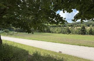 Grundstück zu kaufen in 2833 Bromberg, Bromberg - Bucklige Welt - Neuparzellierung! Sonnige Baugrundstücke in leichter Hanglage ab € 76.450,00!