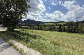 Grundstück zu kaufen in 2833 Bromberg, Bromberg - Bad Erlach-Nähe - neu parzellierte, sonnige Baugrundstücke in leichter Hanglage ab € 76.450,00!