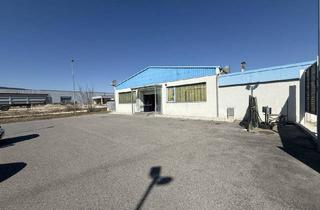 Büro zu mieten in 2752 Wöllersdorf, Attraktives Büro/Praxis/Gewerbeobjekt in Wöllersdorf: 170m², 3 Zimmer, 14 Stellplätze, Miete € 3.300,00