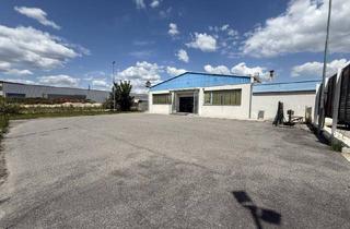 Büro zu mieten in 2752 Wöllersdorf, Wöllersdorf Frequenzlage! Topausgestattetes Gewerbeobjekt - 170m², 3 Zimmer, 14 Stellplätze