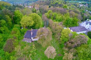 Grundstück zu kaufen in 2371 Hinterbrühl, Privates Paradies vor den Toren Wiens – Parkgrundstück mit Erweiterungsoption auf über 30.000 m².