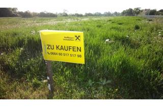 Grundstück zu kaufen in 7083 Purbach am Neusiedler See, Aufgeschlossenes Baugrundstück mit Bauzwang bis 2029 !