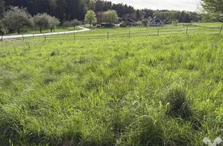 Grundstück zu kaufen in 8321 Sankt Margarethen an der Raab, Idyllisches Baugrundstück bei St. Margarethen/Raab mit einem fertigen Konzept für den Bau eines Einfamilienhauses!