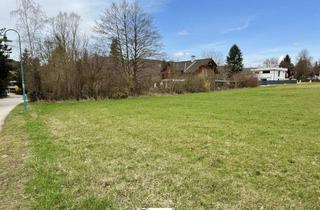 Grundstück zu kaufen in 2392 Grub, Perfekt geformtes Baugrundstück in Grub im Wienerwald - Absolute Ruhelage!