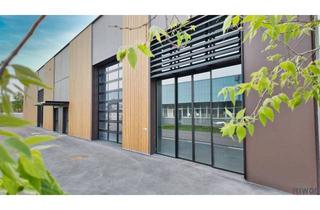 Büro zu mieten in 2100 Korneuburg, Moderne Halle mit ca. 300m² & Holzriegelfassade | Werkstatt, Lager oder Verkauf möglich | Repräsentativer Firmensitz im innovativen Gewerbepark!