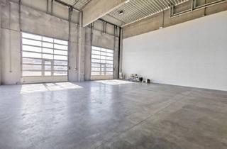 Büro zu mieten in 2100 Korneuburg, Innovativer Betriebsstandort mit ca. 3.300m² Nutzfläche | Büro-, Produktions- & Lagerflächen | Teilflächen möglich