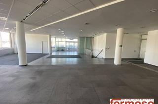 Geschäftslokal mieten in Perfektastraße, 1230 Wien, Geräumiges Geschäftslokal in der Perfektastraße – 440 m² im Erdgeschoss + 130 m² Lager – vielseitig nutzbar!