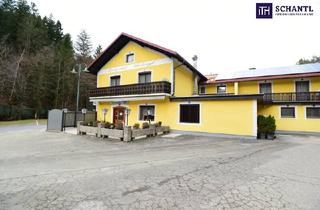Immobilie kaufen in Aichberg, 8552 Eibiswald, Kurze Vermietung am Fuße der Soboth: 666 m² mit großem Potenzial – Kreativer Umbau für Ihre erfolgreiche Airbnb- oder Booking-Vermietung! Gleich anfragen!