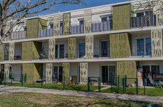 Wohnung mieten in Ackerweg, 2214 Auersthal, 4 Zimmer Familientraum mit großzügiger Freifläche in Auersthal