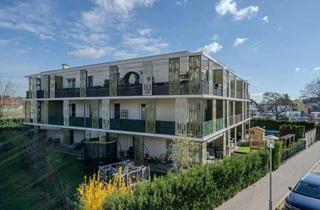 Wohnung mieten in Ackerweg, 2214 Auersthal, Schöne 2 Zimmerwohnung mit großem Balkon in Auersthal