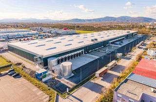 Gewerbeimmobilie mieten in Volvostraße, 2512 Tribuswinkel, Neubau | Logistikpark A2 in Tribuswinkel / Traiskirchen - provisionsfrei