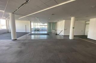 Büro zu mieten in Perfektastraße, 1230 Wien, Geräumiges Geschäftslokal in der Perfektastraße – 440 m² im Erdgeschoss + 130 m² Lager – vielseitig nutzbar!