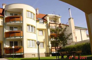 Wohnung mieten in Marktstraße 21/1/3, 2851 Krumbach, Geförderte Miete mit Kaufoption | Top 1/3 | 1. OG mit Loggia.