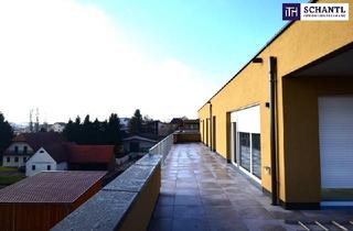 Penthouse kaufen in Zirbenweg, 8401 Kalsdorf bei Graz, Wohnen auf höchstem Niveau – 4-Zimmer-Neubauwohnung mit gigantischer Sonnen-Dachterrasse! Erstbezug 2024 – provisionsfrei!
