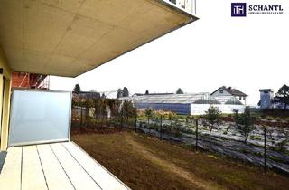 Penthouse kaufen in Zirbenweg, 8401 Kalsdorf bei Graz, Genießen Sie herrliche Sommertage in Ihrem idyllischen Eigenarten - viele weitere Wohnungen auch mit Balkon verfügbar!