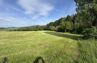 Agrarfläche kaufen in Gamesreith, 3051 Sankt Christophen, Zum Verkauf steht ein zusammenhängendes Landwirtschafts- und Waldgrundstück mit Holzhaus