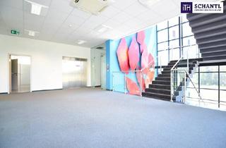 Büro zu mieten in 8301 Laßnitzhöhe, Ihr Traumbüro freut sich auf Sie! Gewerbeimmobilie in Laßnitzhöhe: 122 m² mit erstklassiger Ausstattung, KFZ-Abstellplätzen, E-Ladestationen und Klimaanlage – Jetzt anfragen und durchstarten!